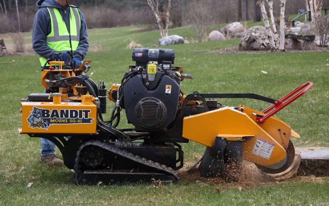 Placeholder image for ABOUT