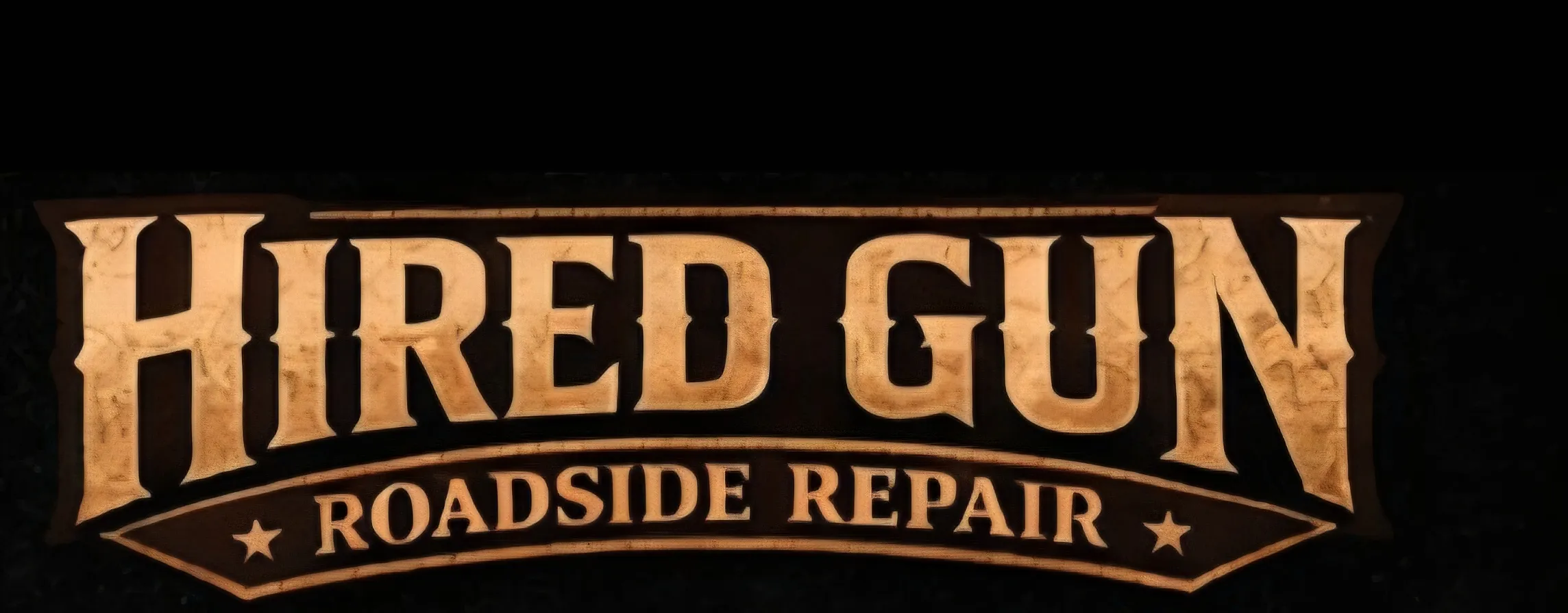 HIRED GUN LLC