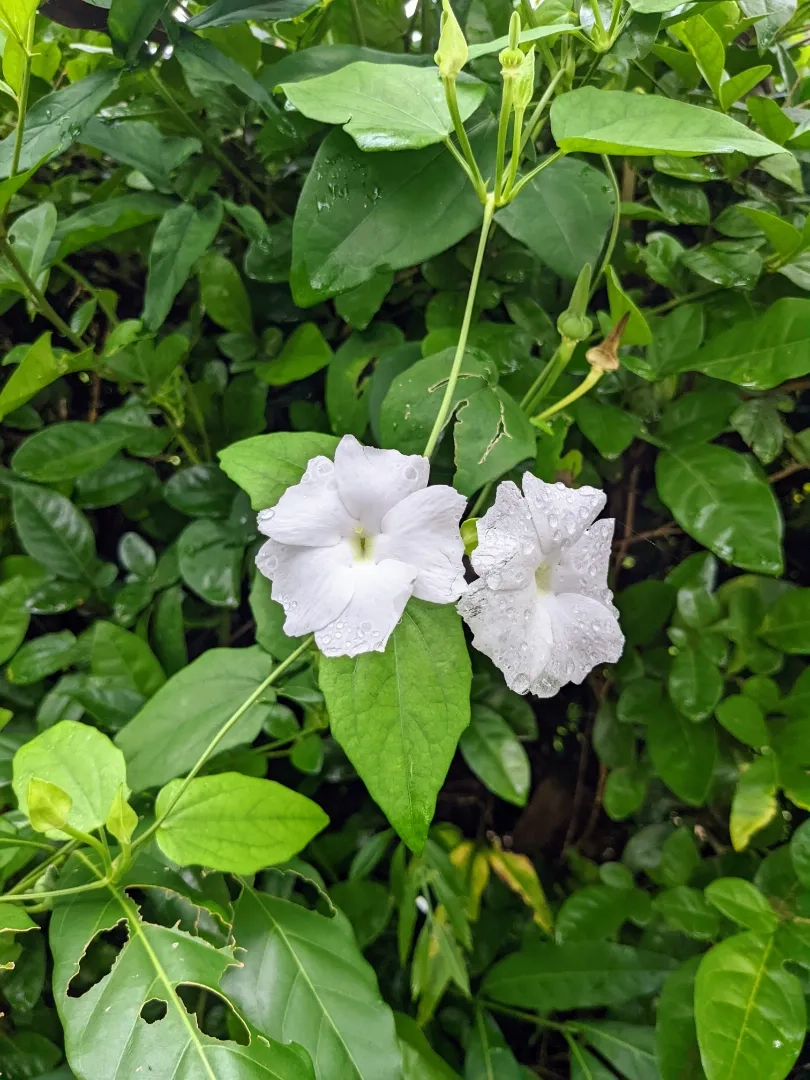 Placeholder image for ABOUT