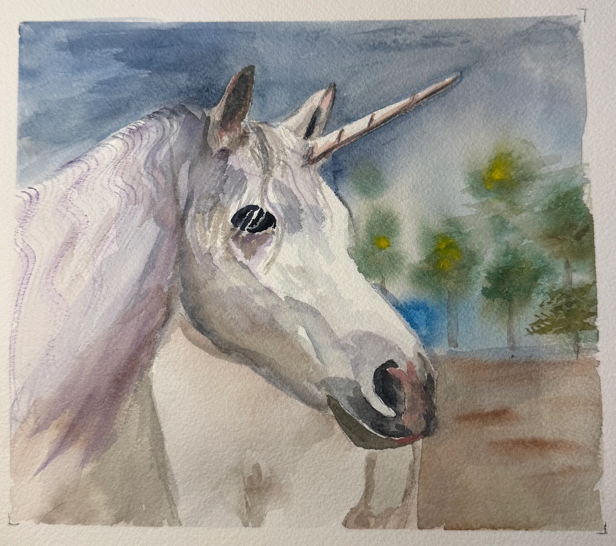 Alternative text for describing the image displayed