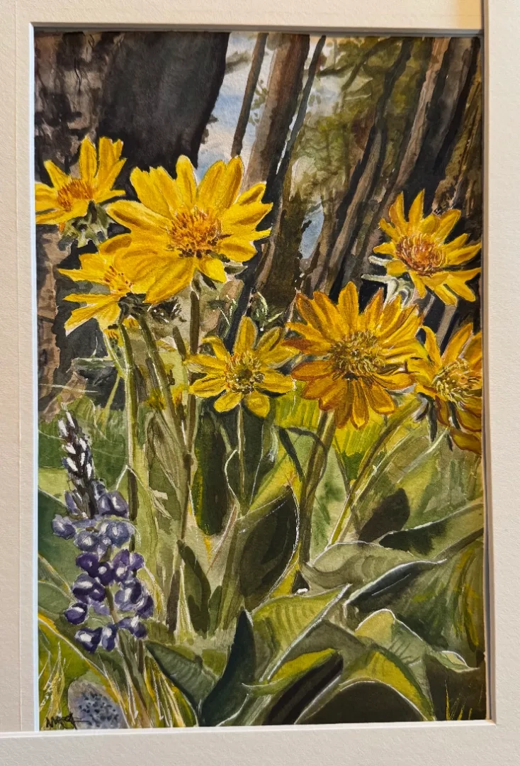 Placeholder image for PRODUCT