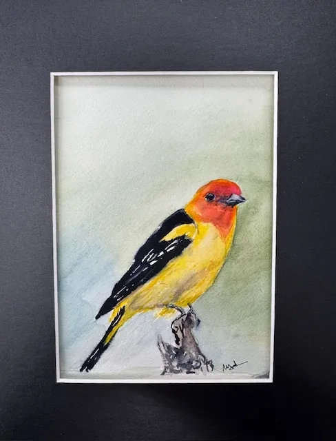 Placeholder image for PRODUCT