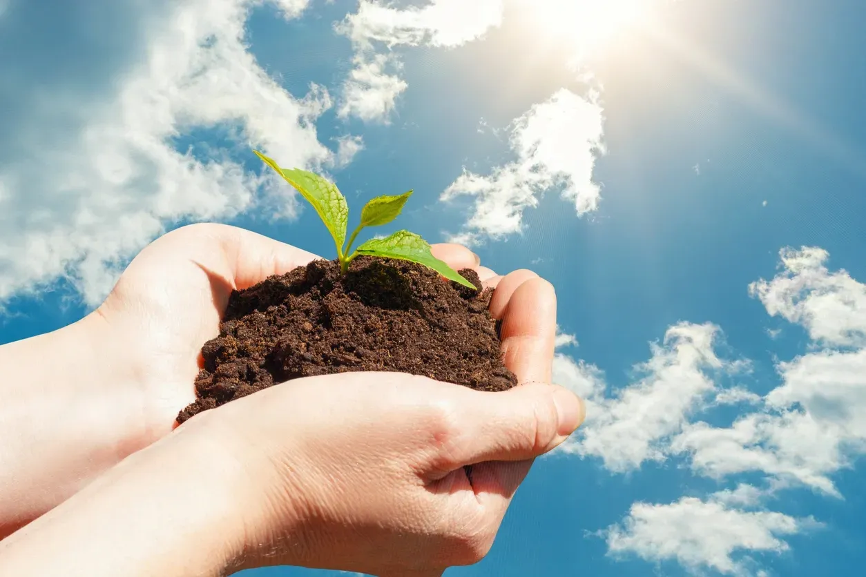 Placeholder image for ABOUT