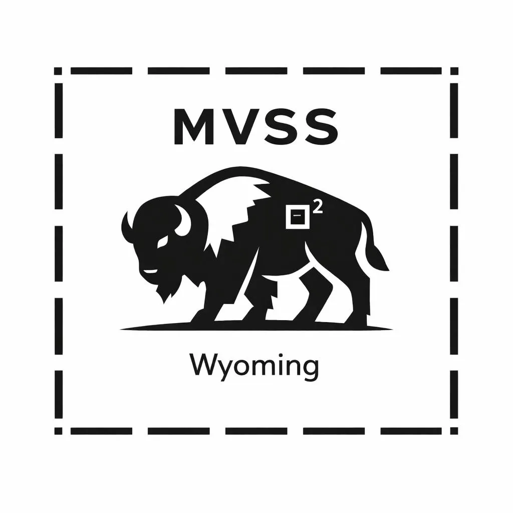 MVSS LLC