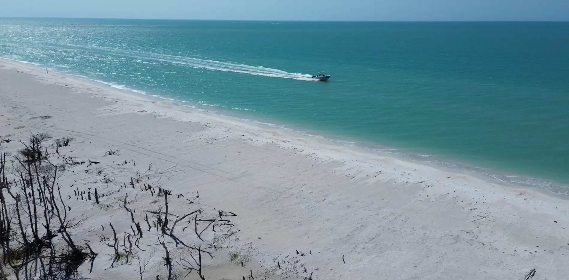 Alternative text for describing the image displayed