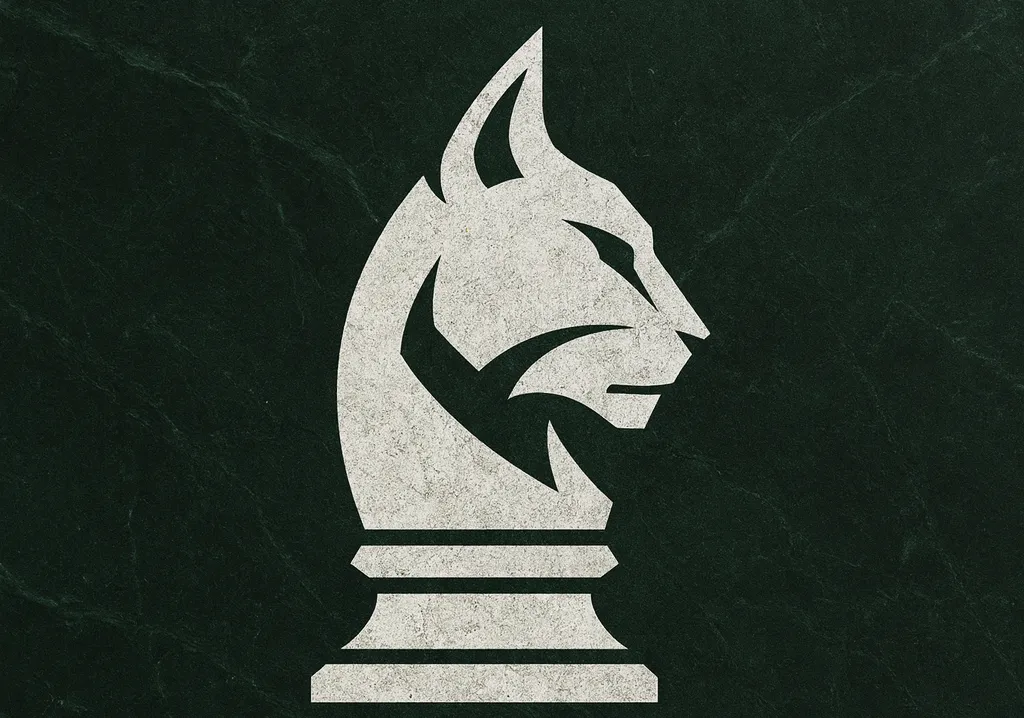 Alternative text for describing the image displayed