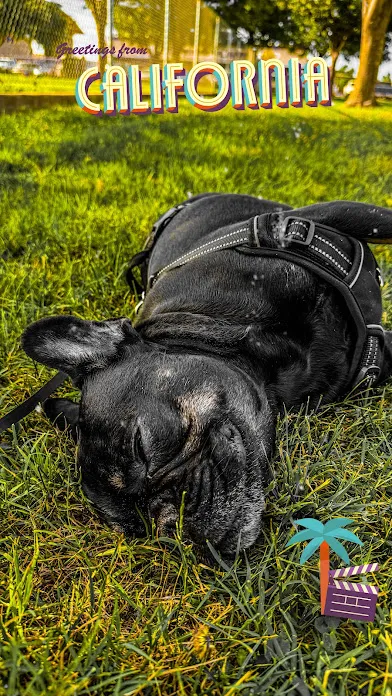 Placeholder image for ABOUT