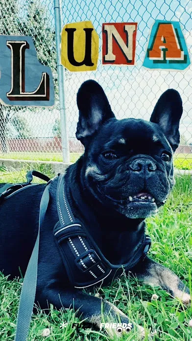 Alternative text for describing the image displayed