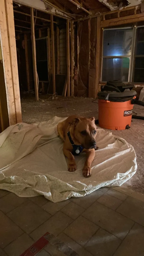 Placeholder image for ABOUT