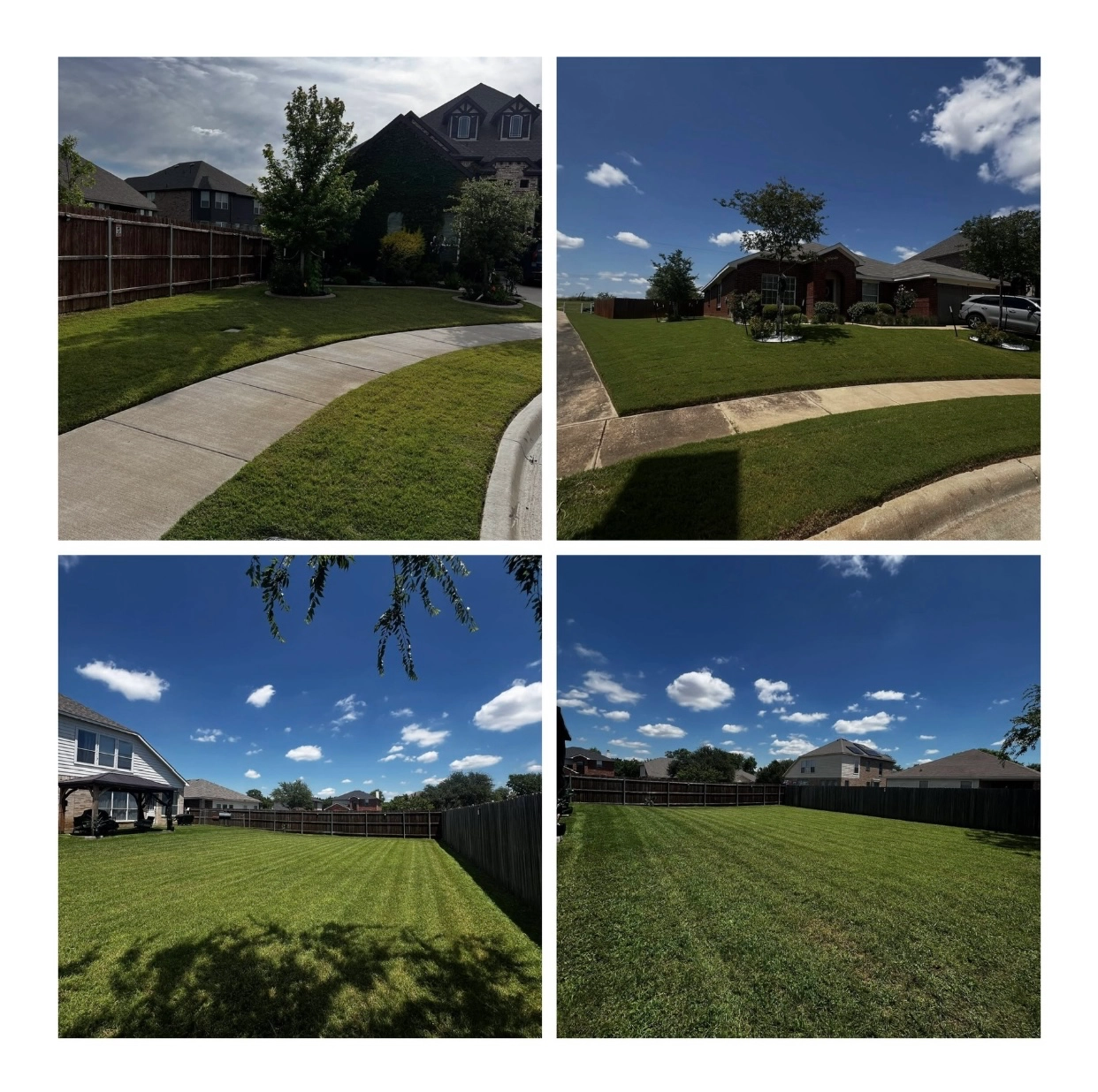 Alternative text for describing the image displayed