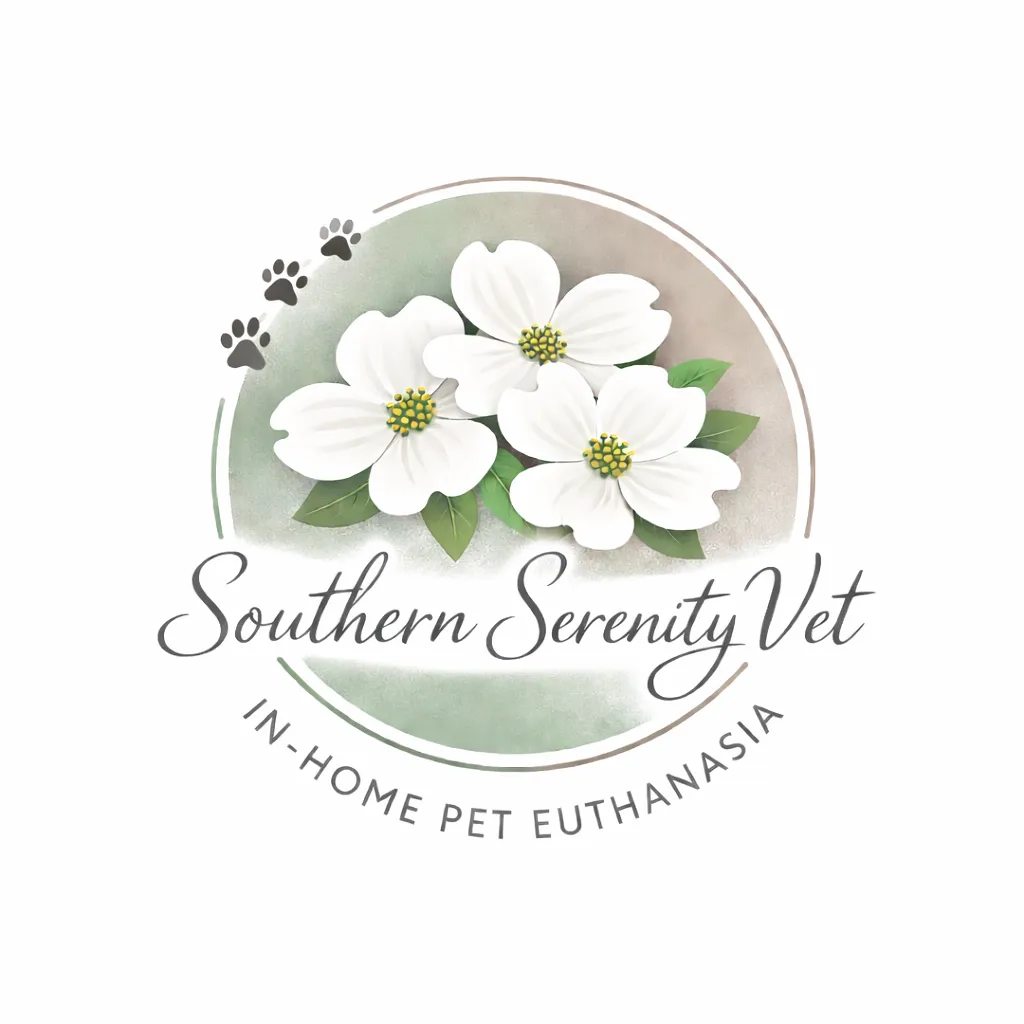 Alternative text for describing the image displayed