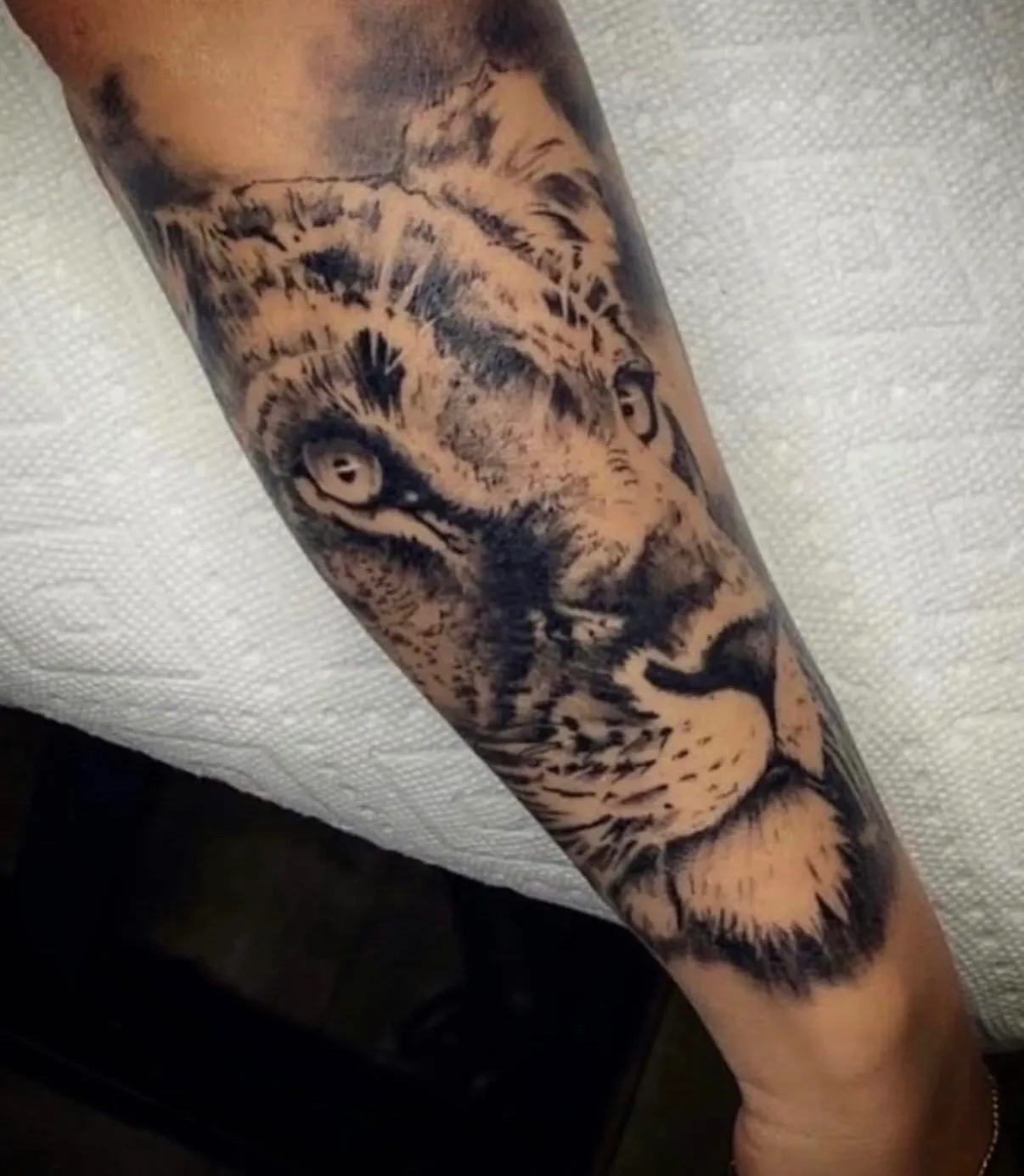 Alternative text for describing the image displayed