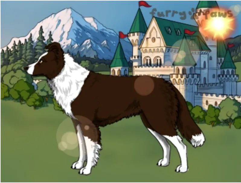 Placeholder image for ABOUT