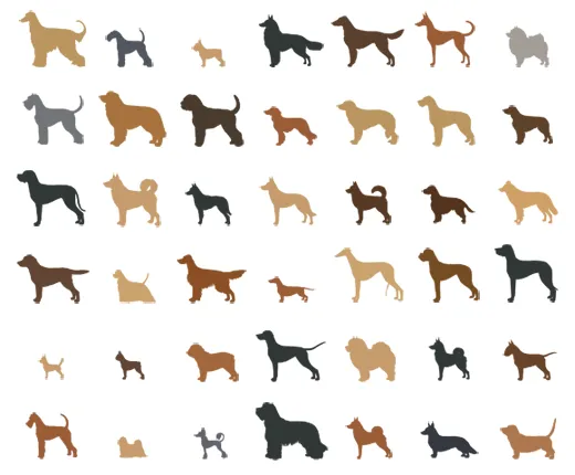 Alternative text for describing the image displayed