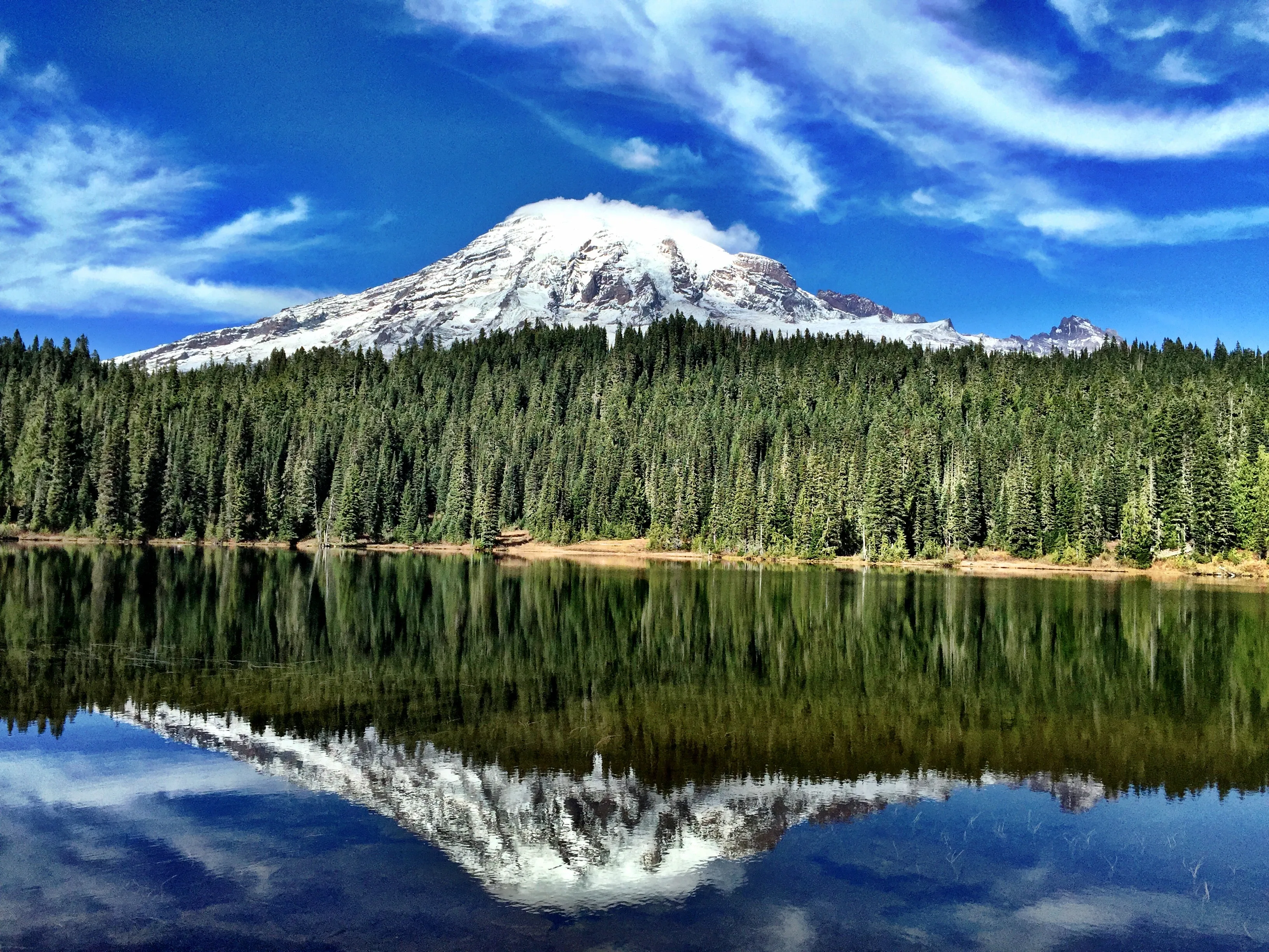 Alternative text for describing the image displayed