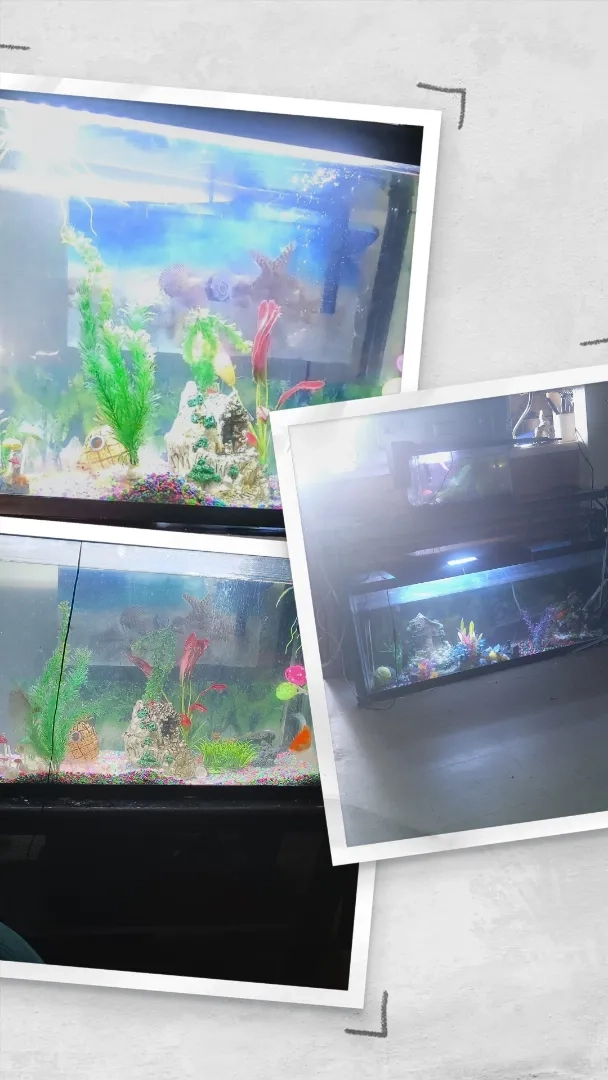 Placeholder image for PRODUCT