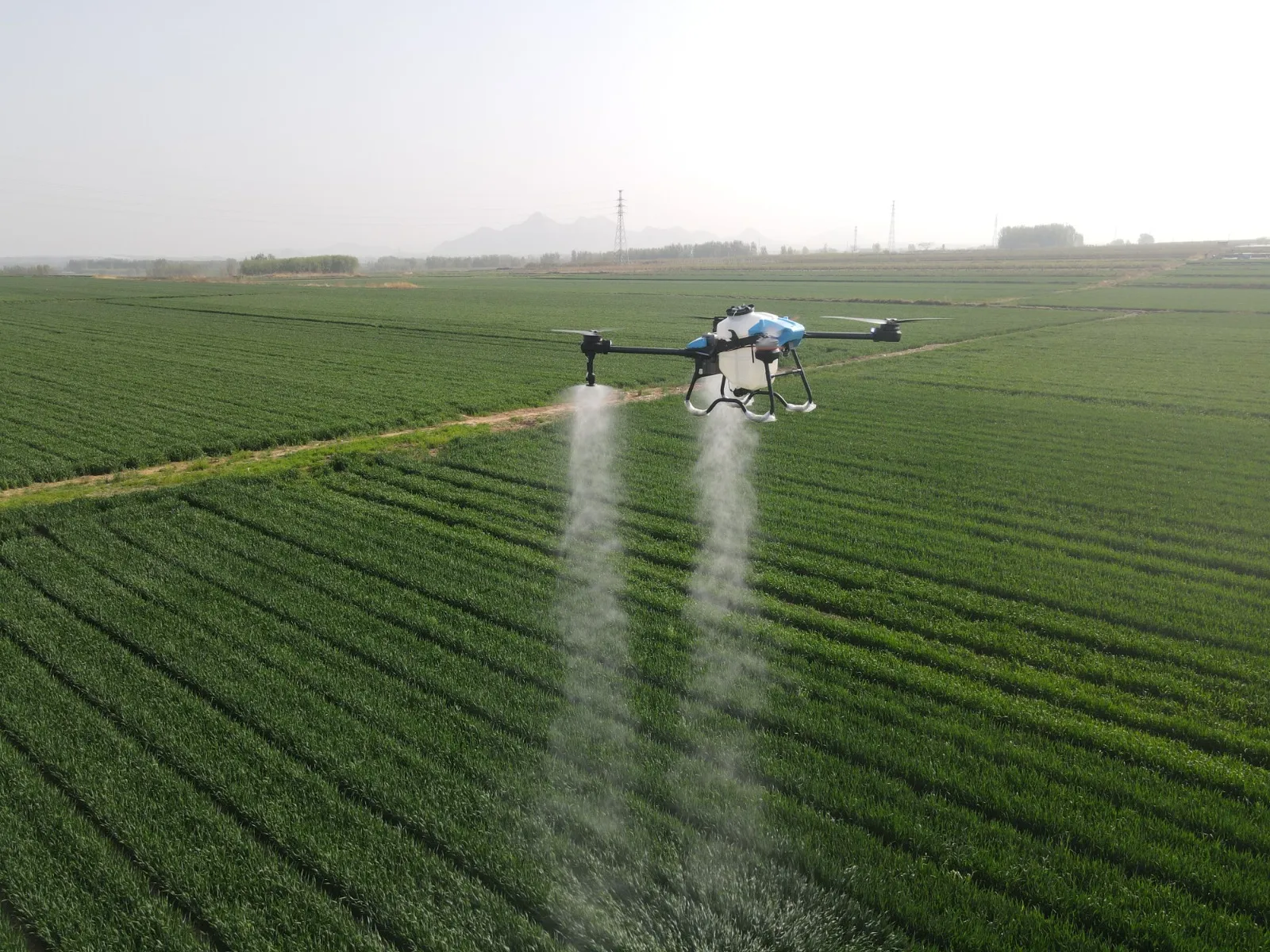 Placeholder image for ABOUT