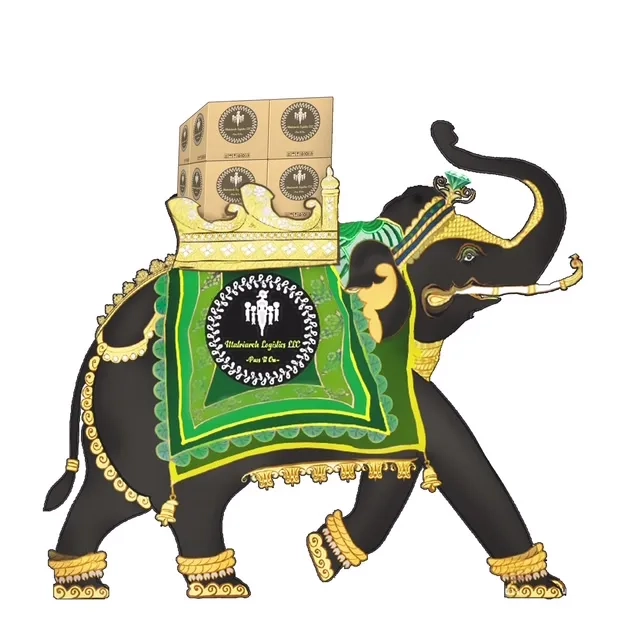 Alternative text for describing the image displayed