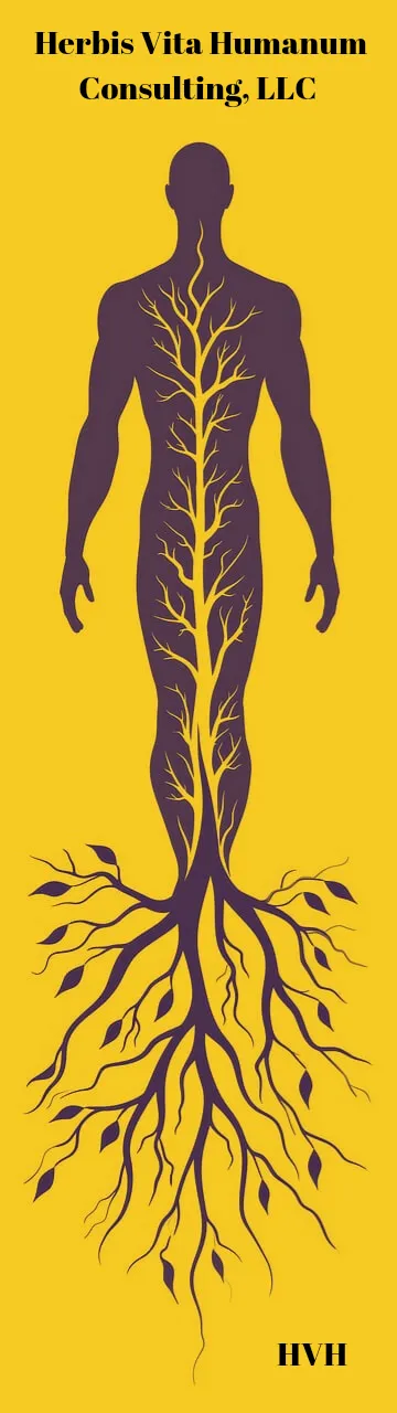 Alternative text for describing the image displayed