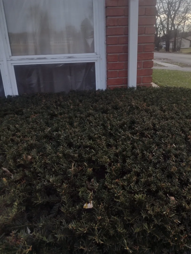 Placeholder image for PRODUCT