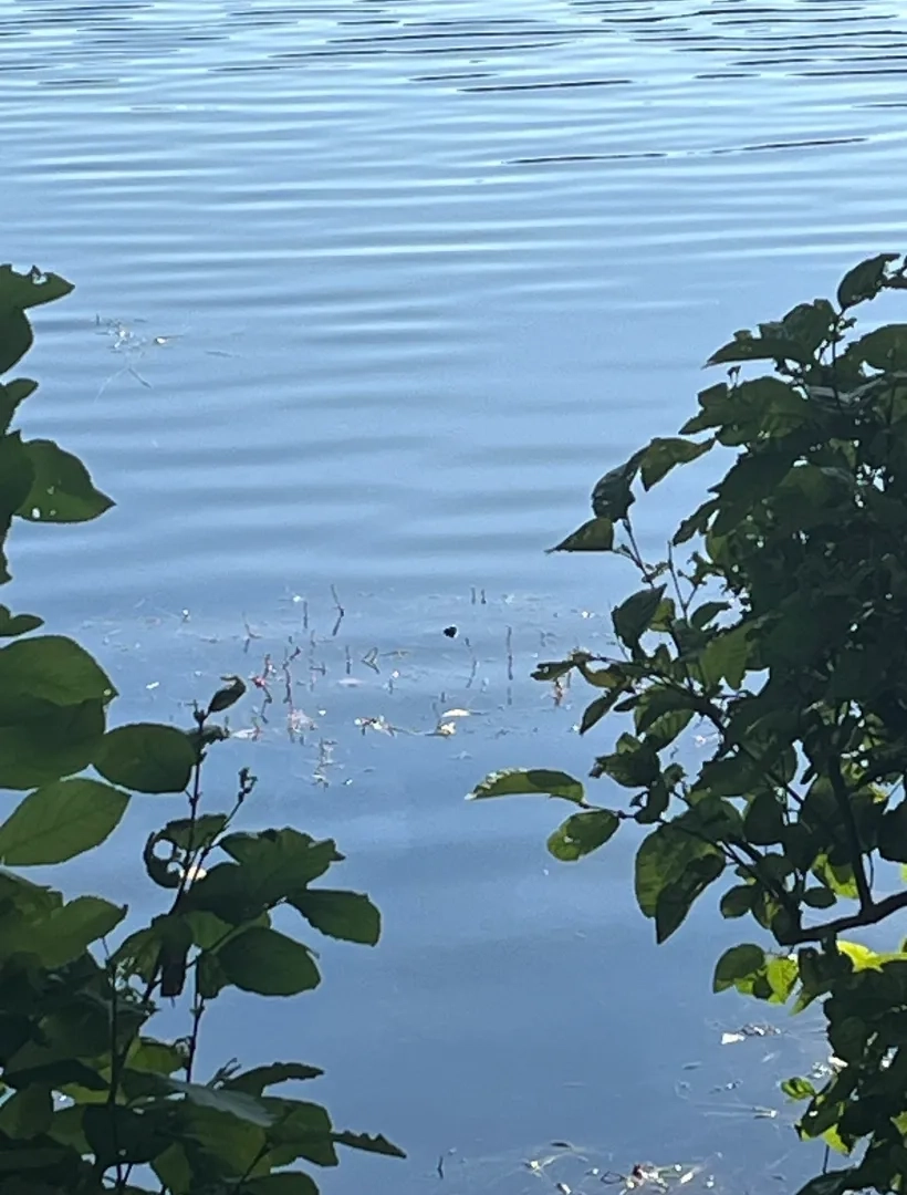 Placeholder image for ABOUT