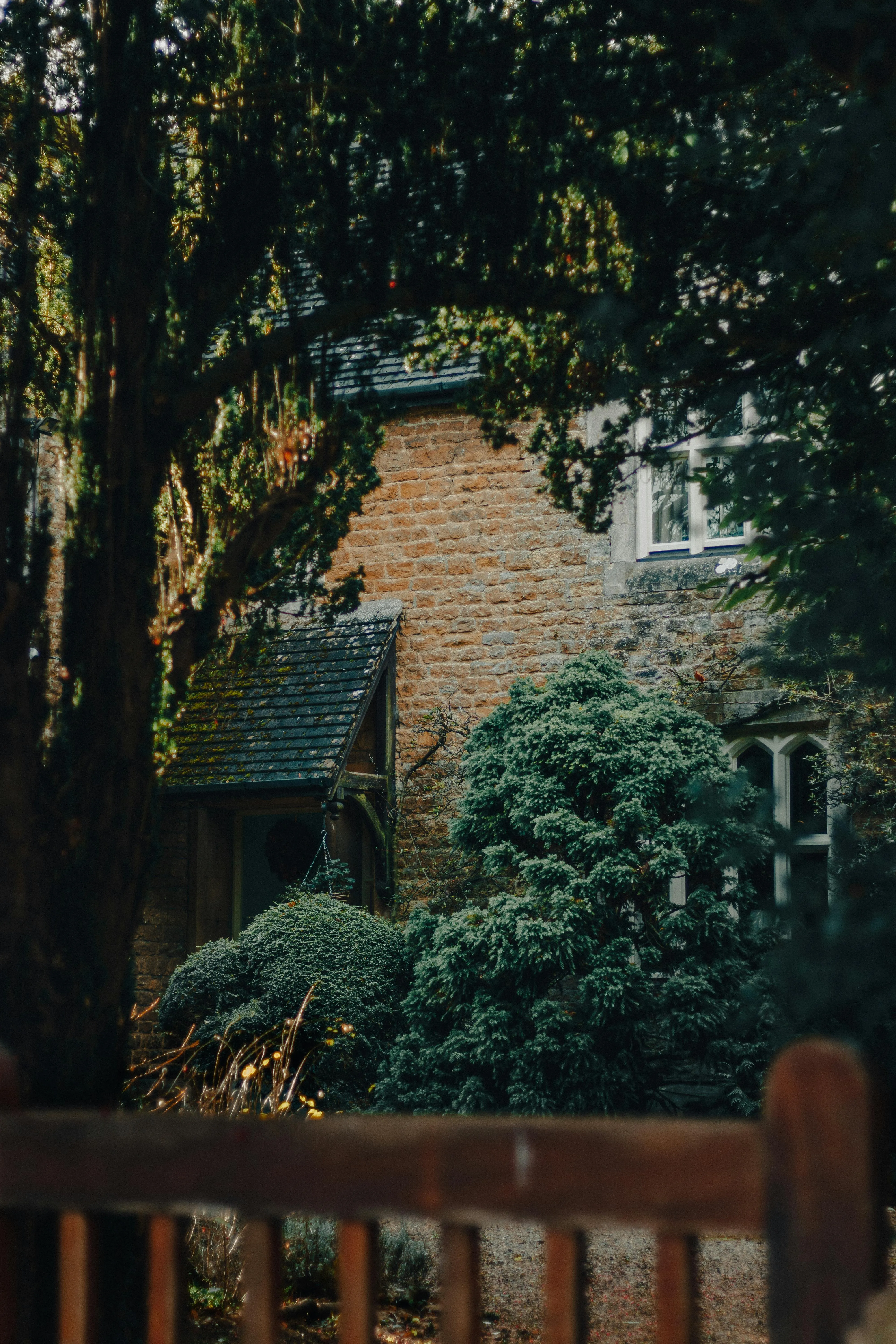 Placeholder image for ABOUT