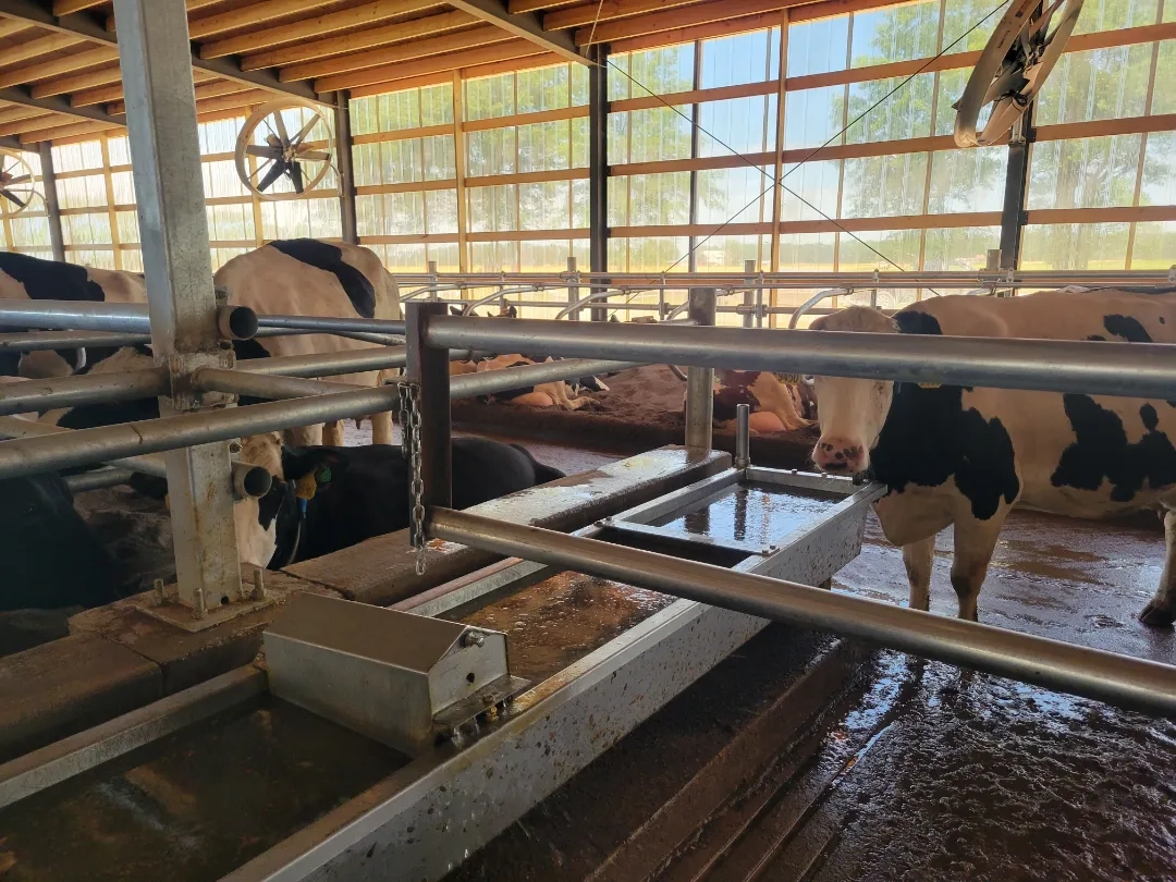 Placeholder image for ABOUT