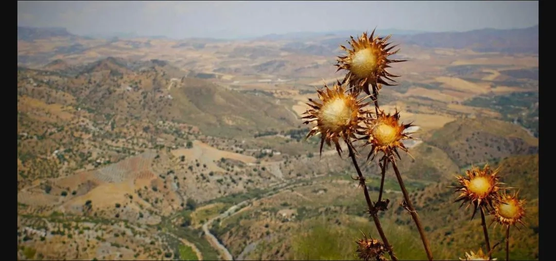 Placeholder image for ABOUT