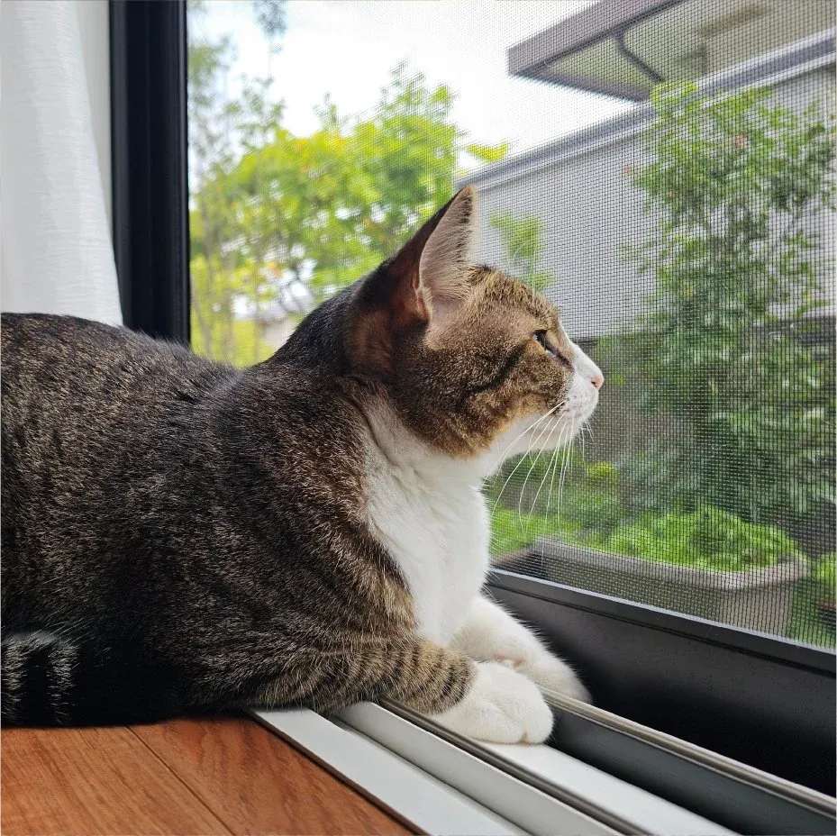 Placeholder image for PRODUCT