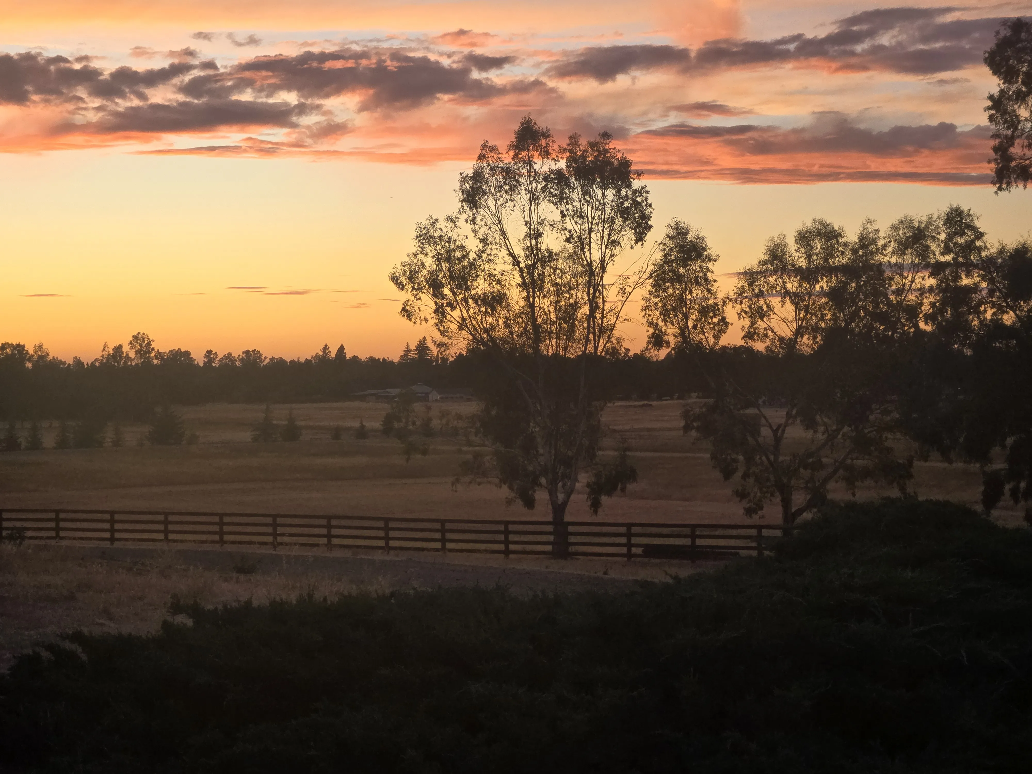 Alternative text for describing the image displayed