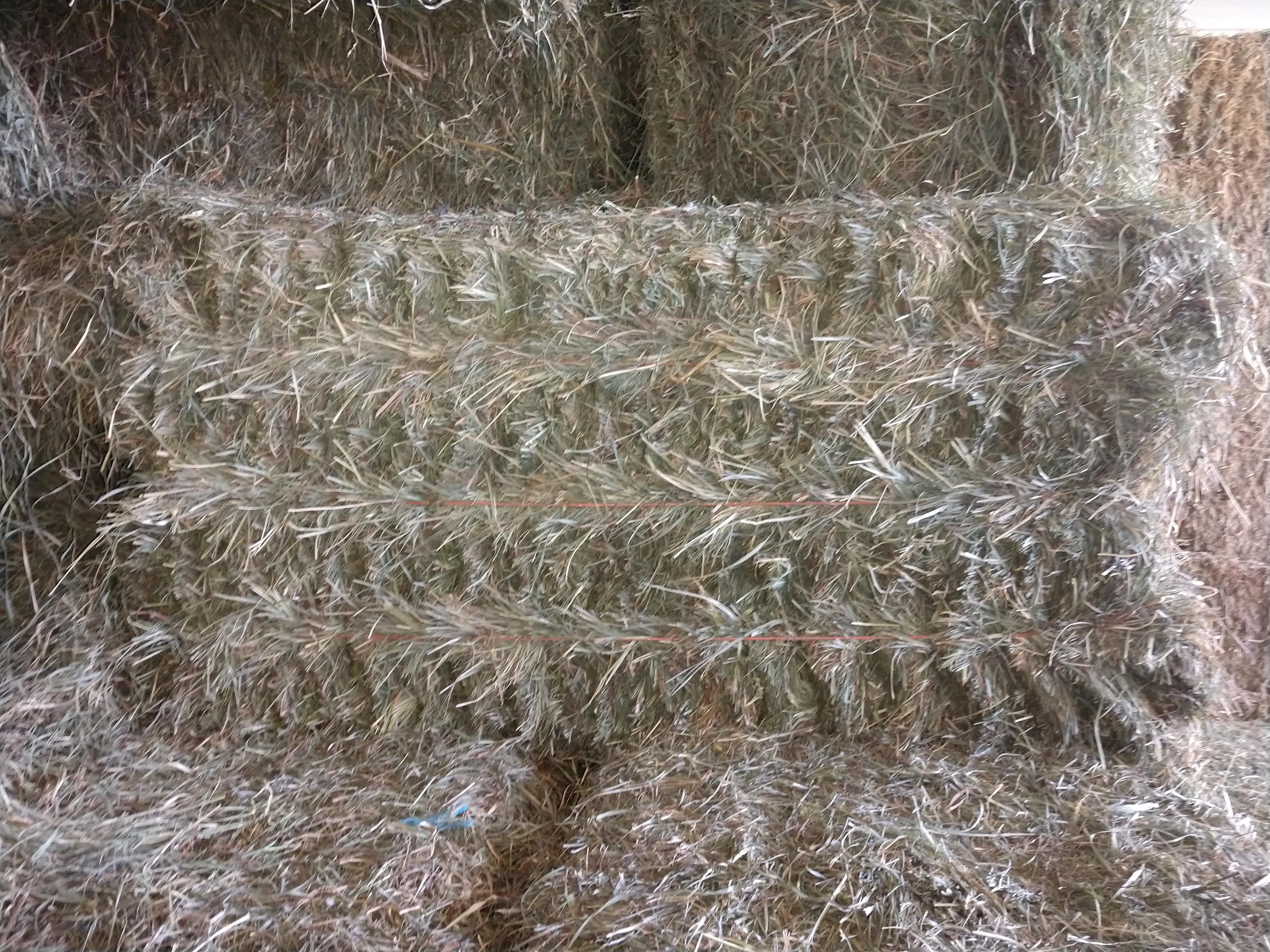 Placeholder image for PRODUCT