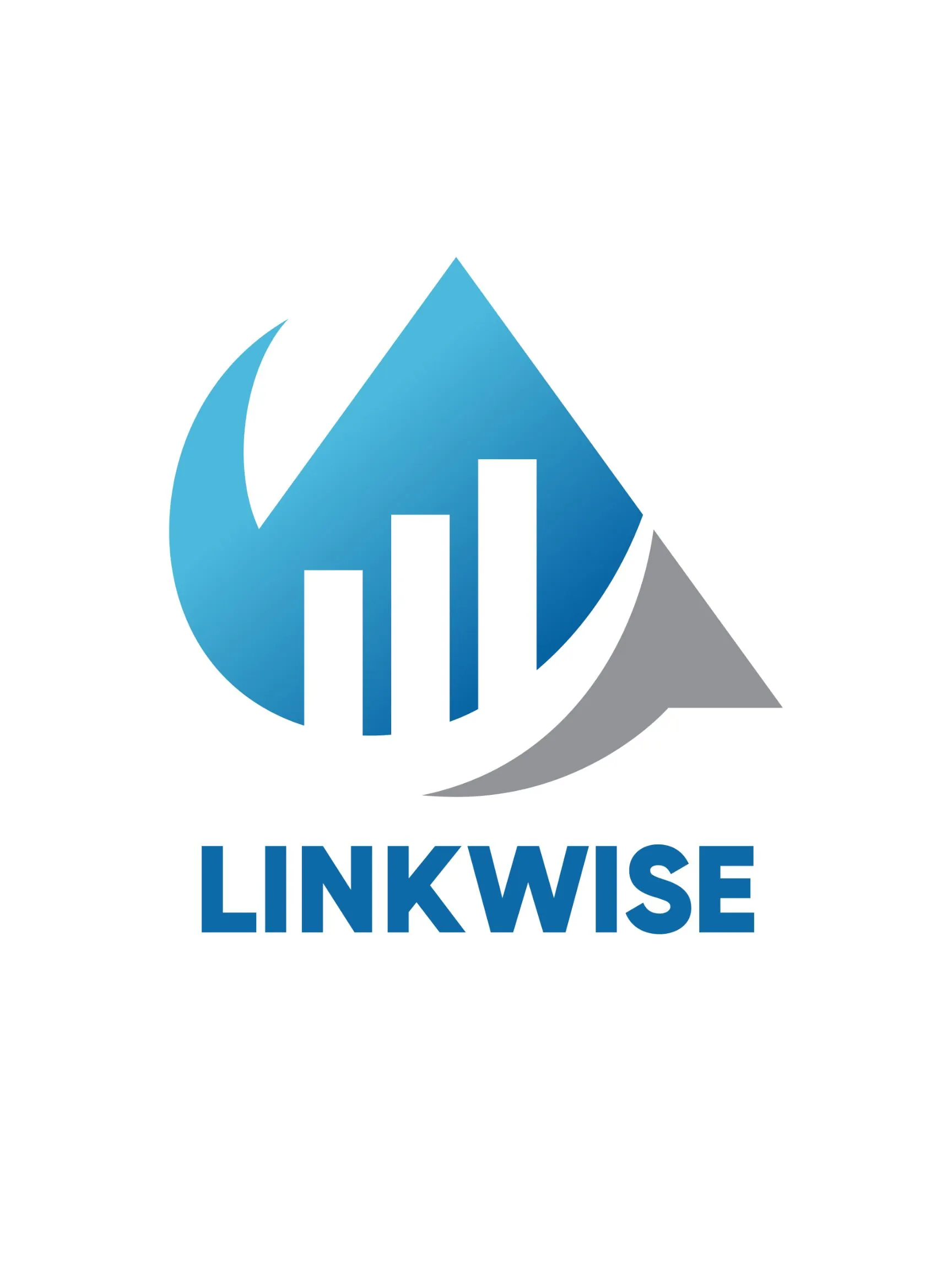 Link Wise Consulting