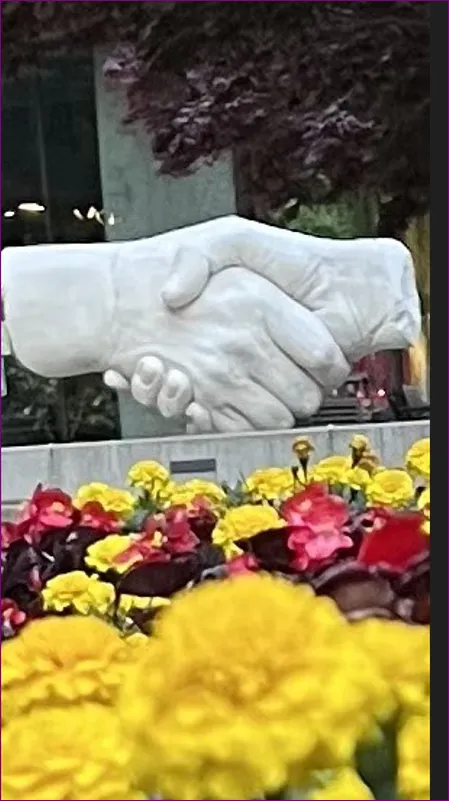 Placeholder image for ABOUT