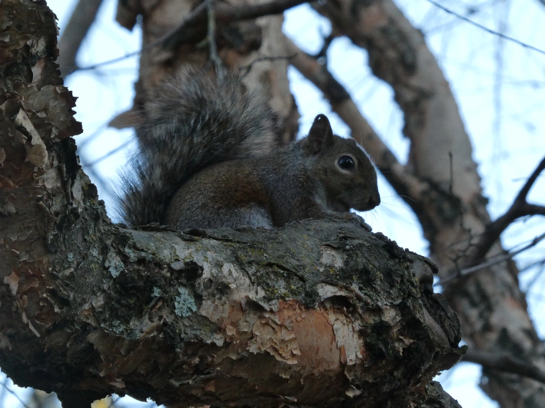 Placeholder image for ABOUT