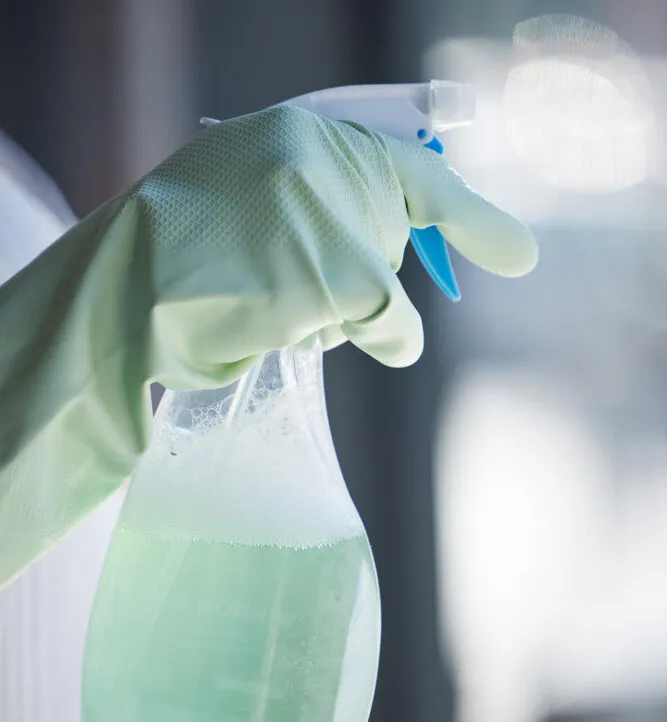 Placeholder image for ABOUT