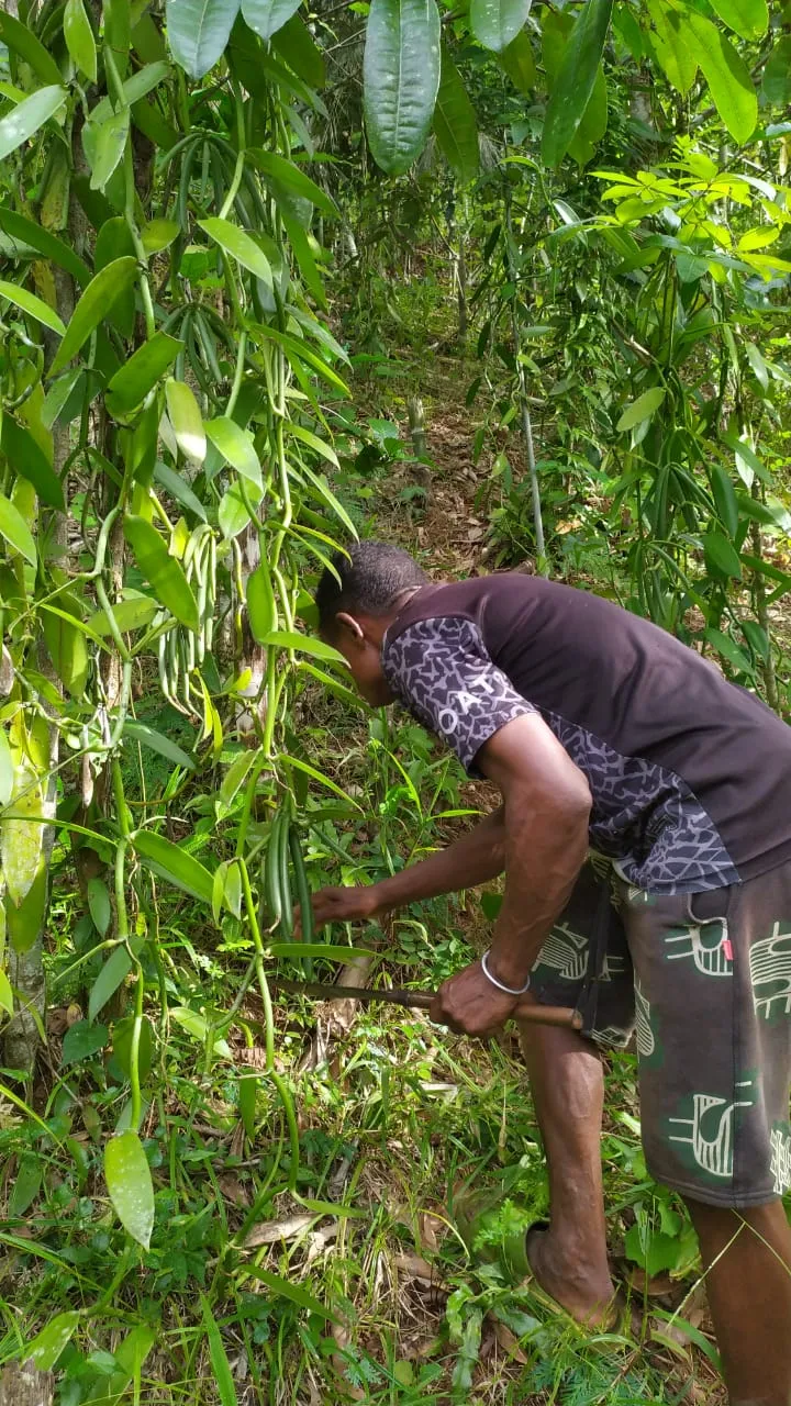 Placeholder image for PRODUCT