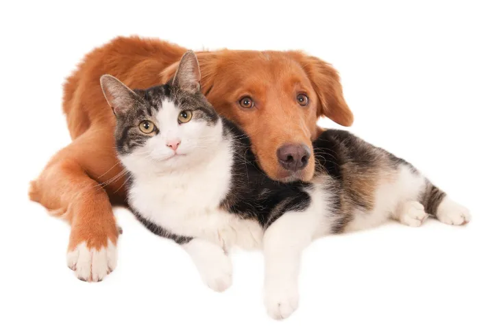 Placeholder image for PRODUCT