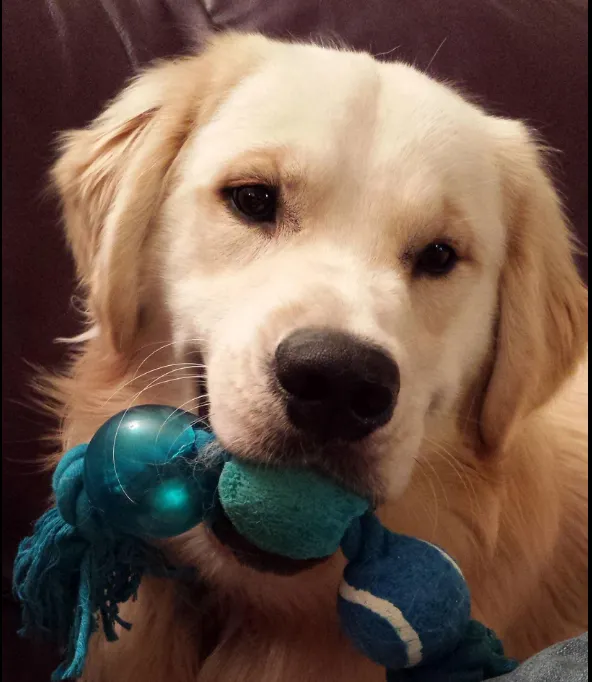 Placeholder image for PRODUCT