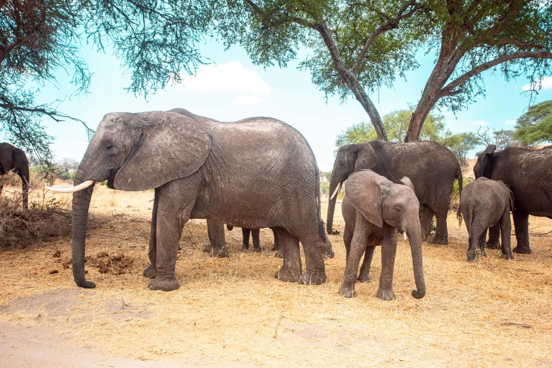 Placeholder image for PRODUCT