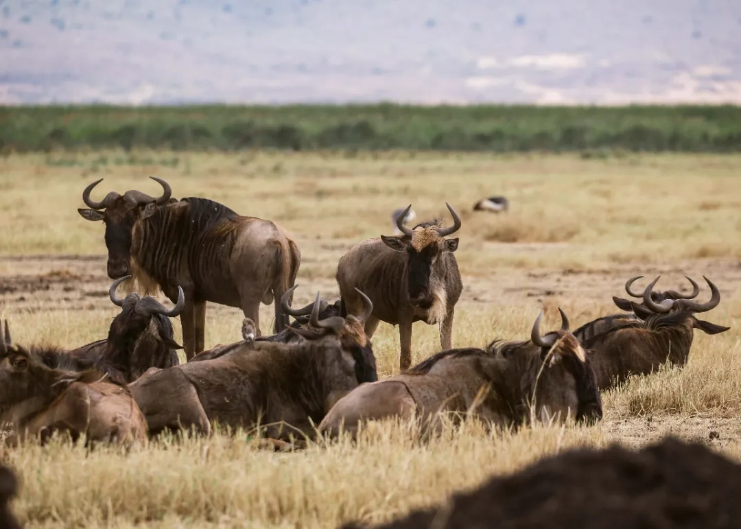 Placeholder image for PRODUCT