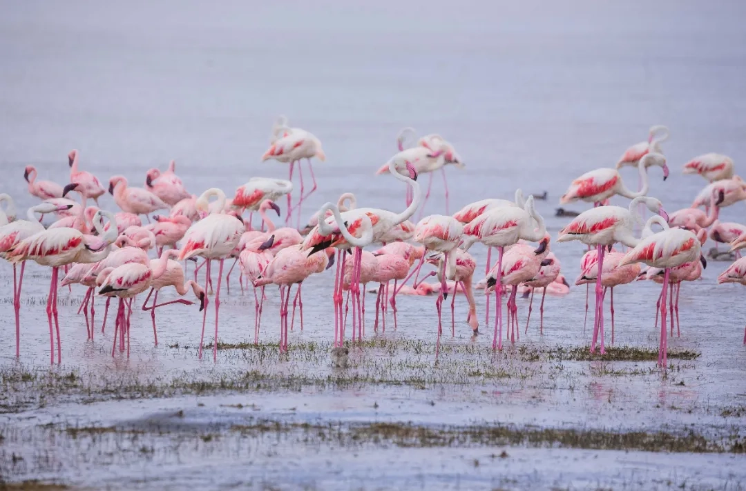 Placeholder image for PRODUCT