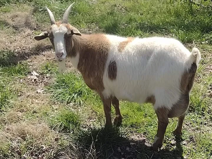 Placeholder image for ABOUT