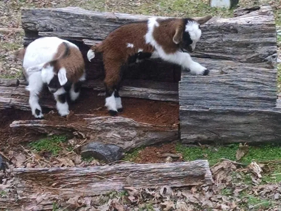 Placeholder image for PRODUCT