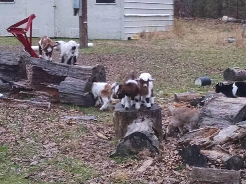 Placeholder image for PRODUCT