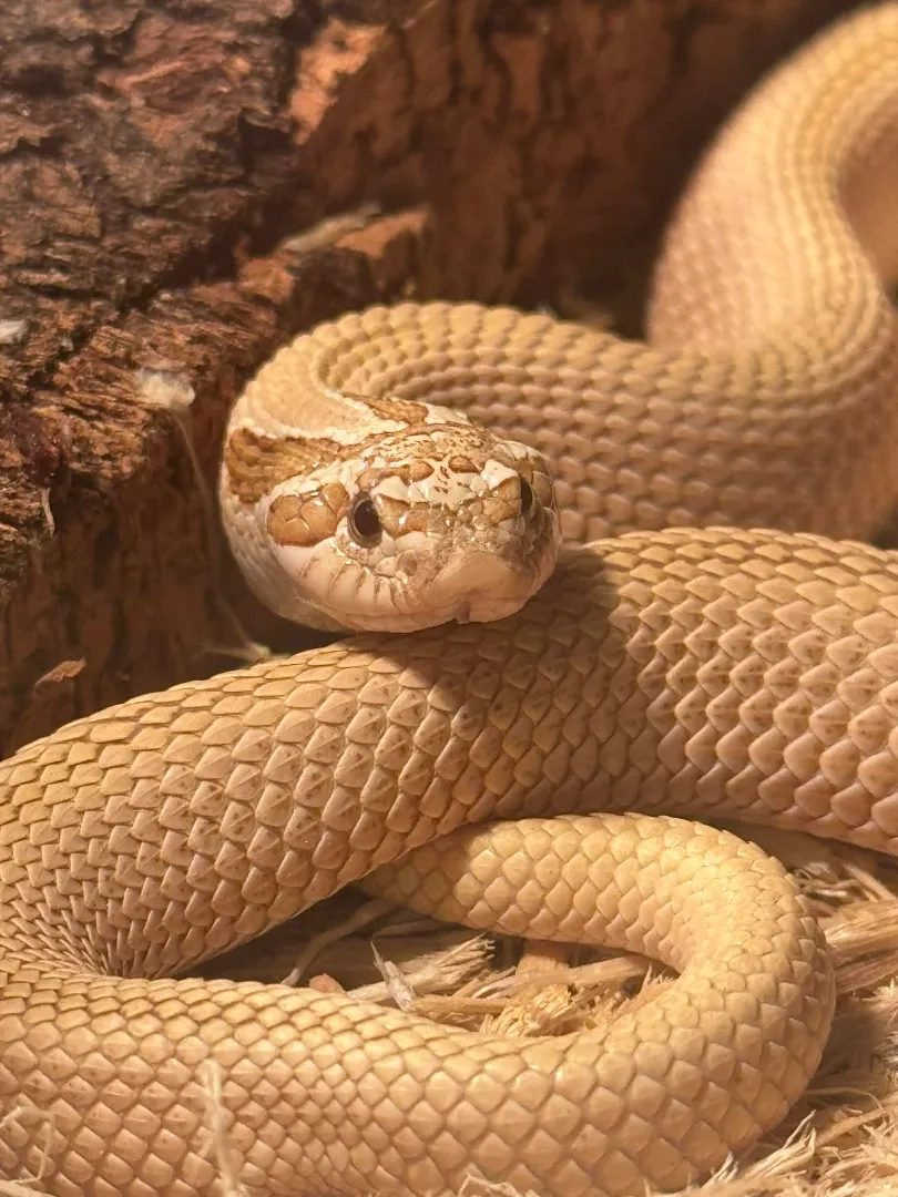 Placeholder image for ABOUT