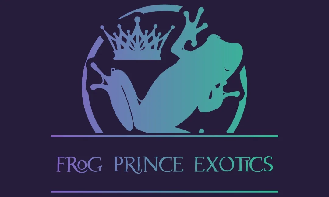 Frog Prince