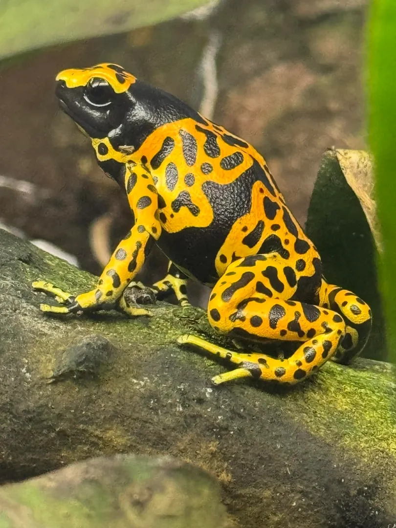 Placeholder image for PRODUCT