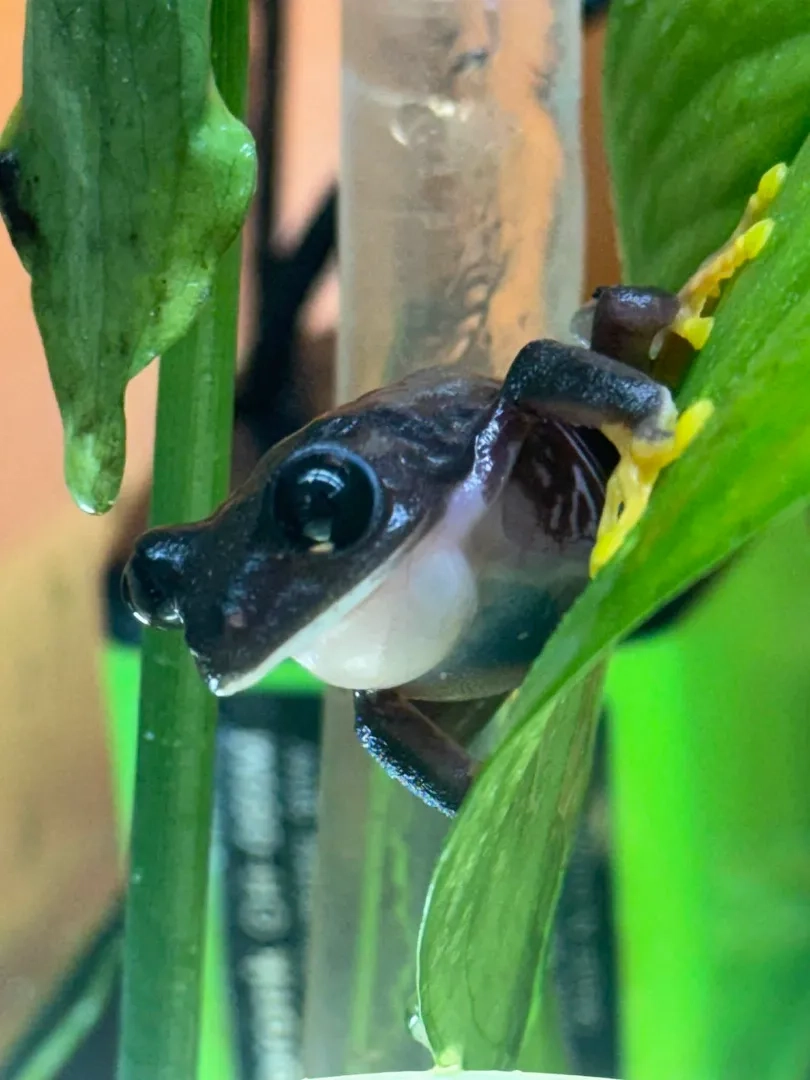 Placeholder image for PRODUCT