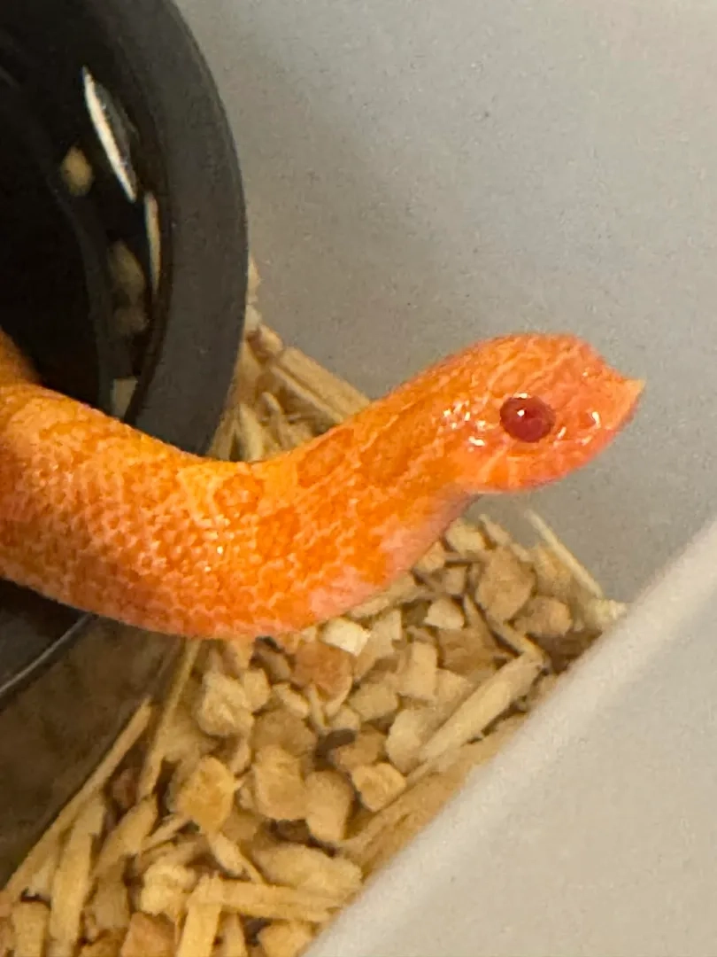 Placeholder image for PRODUCT