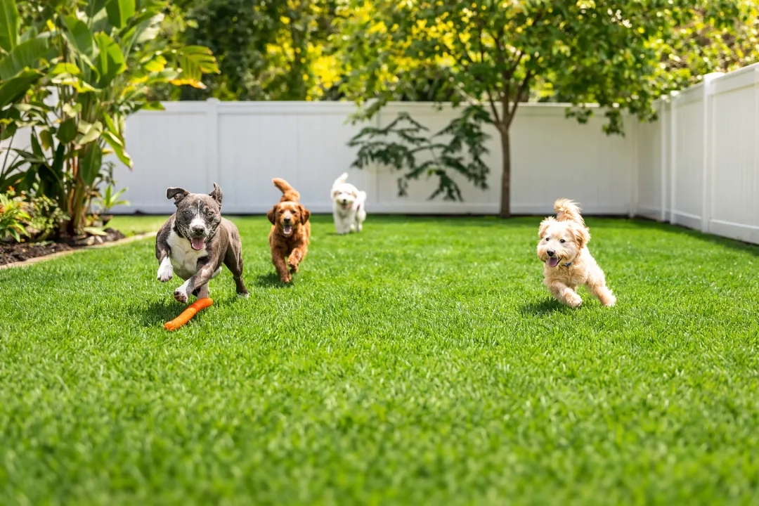 Placeholder image for PRODUCT